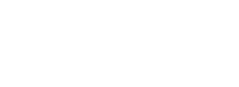 DG-PERF